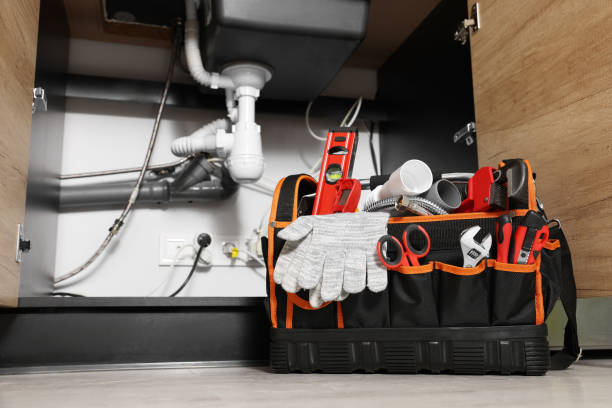 Best Plumbing Services Near Me  in West Sharyland, TX